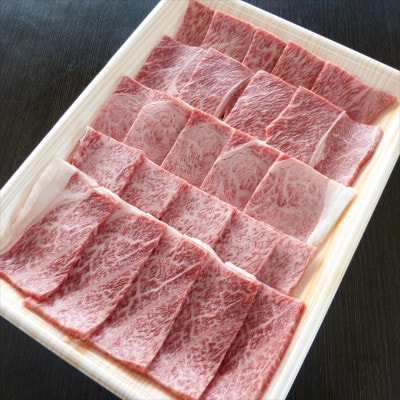 (A5等級)飛騨牛赤身肉焼肉用500g　モモ又はカタ肉