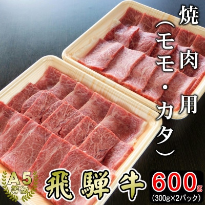 (A5等級)飛騨牛赤身肉焼肉用600g　モモ又はカタ肉