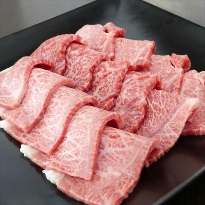 (A5等級)飛騨牛赤身肉焼肉用600g　モモ又はカタ肉