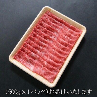 【毎月定期便】(A5等級)飛騨牛赤身肉スライス500g　モモ又はカタ肉全3回