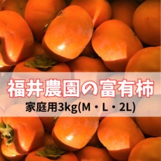 福井農園の富有柿ご家庭用3kg(12～14個入り)M、L、2Lサイズ