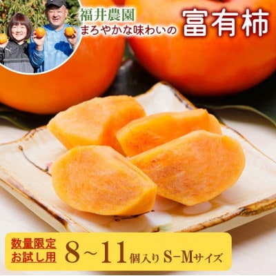 《 訳あり 》 福井農園の富有柿  お試し 8～11個入り S-Mサイズ