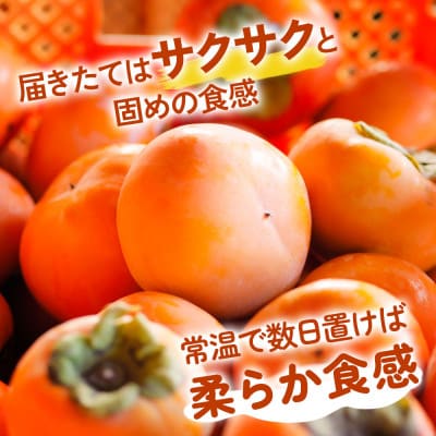 丸金青果 富有柿 Lサイズ (14個入) 低温追熟【甘みがきわだつ、低温追熟した富有柿をお届け!】