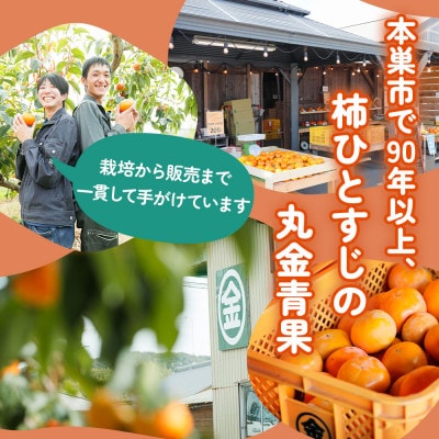 丸金青果 富有柿 Lサイズ (14個入) 低温追熟【甘みがきわだつ、低温追熟した富有柿をお届け!】