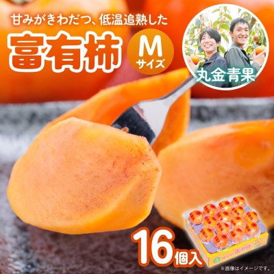 丸金青果　富有柿Mサイズ(16個入)低温追熟【甘みがきわだつ、低温追熟した富有柿をお届け!】