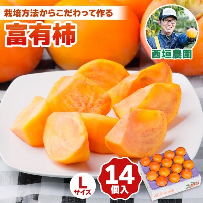 西垣農園の富有柿 Lサイズ (14個入)【栽培方法からこだわって作る、良質の富有柿】