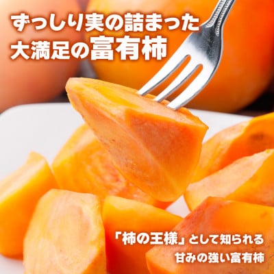 西垣農園の富有柿 Lサイズ (14個入)【栽培方法からこだわって作る、良質の富有柿】