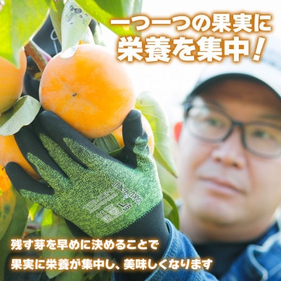 西垣農園の富有柿 Lサイズ (14個入)【栽培方法からこだわって作る、良質の富有柿】
