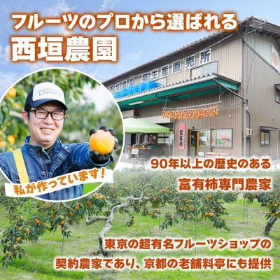 西垣農園の富有柿 Lサイズ (14個入)【栽培方法からこだわって作る、良質の富有柿】
