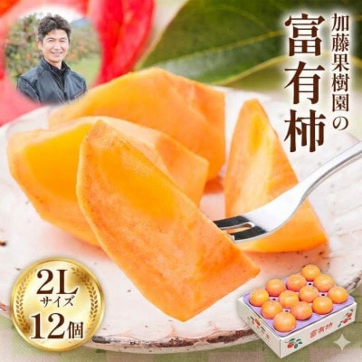 加藤果樹園の富有柿 2Lサイズ (12個入)