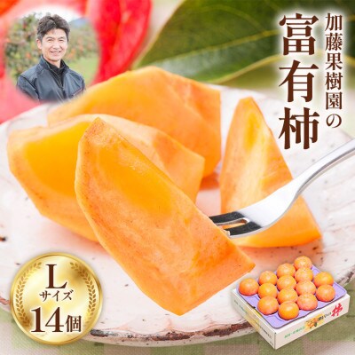 加藤果樹園の富有柿 Lサイズ (14個入)