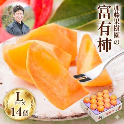 加藤果樹園の富有柿 Lサイズ (14個入)