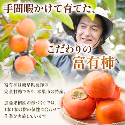 加藤果樹園の富有柿 Lサイズ (14個入)