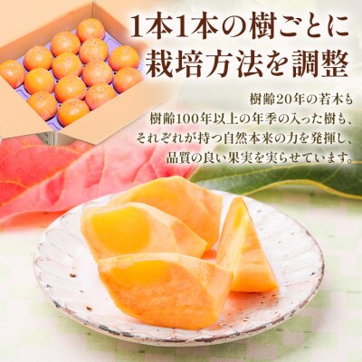 加藤果樹園の富有柿 Lサイズ (14個入)