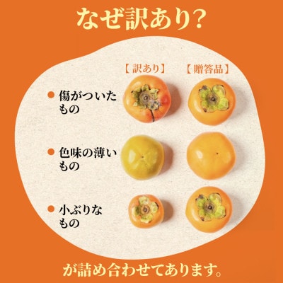 【訳あり】富有柿 8kg(約35個～45個入り) くどみフルーツ農園