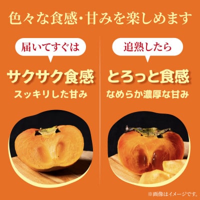 【訳あり】富有柿 8kg(約35個～45個入り) くどみフルーツ農園