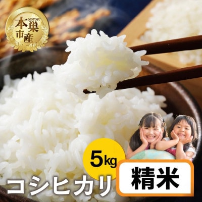 【新米先行受付】令和8年産 コシヒカリ 5kg 精米