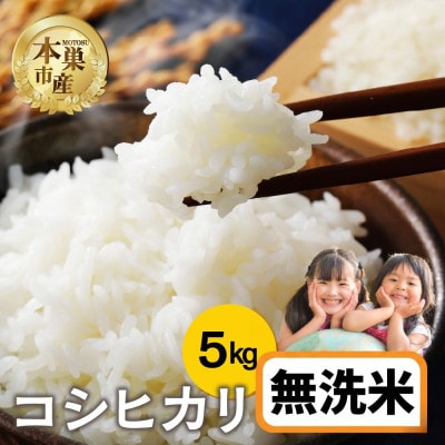 【新米先行受付】令和8年産 コシヒカリ 5kg 無洗米