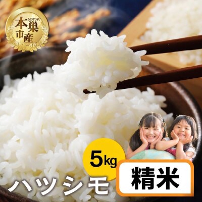 【新米先行受付】令和8年産 ハツシモ 5kg 精米