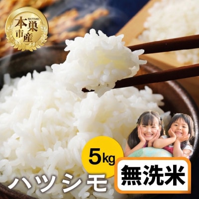 【新米先行受付】令和8年産 ハツシモ 5kg 無洗米