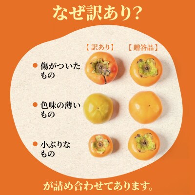 【訳あり】富有柿 4kg(約20個～25個入り) くどみフルーツ農園