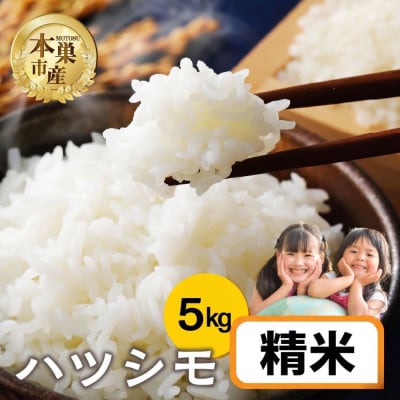 令和7年産 ハツシモ 5kg 精米