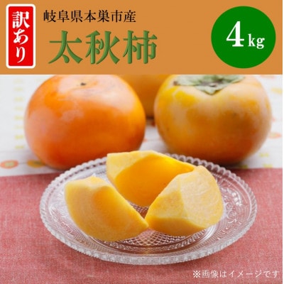 【訳あり】太秋柿 4kg(約18個～25個入り) くどみフルーツ農園