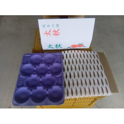 【さとふる限定】太秋柿 3Lサイズ 10個入り くどみフルーツ農園