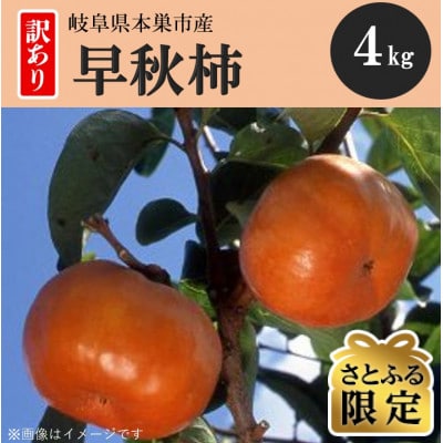 【さとふる限定】訳あり 早秋柿 4kg(約18個～25個入り) くどみフルーツ農園