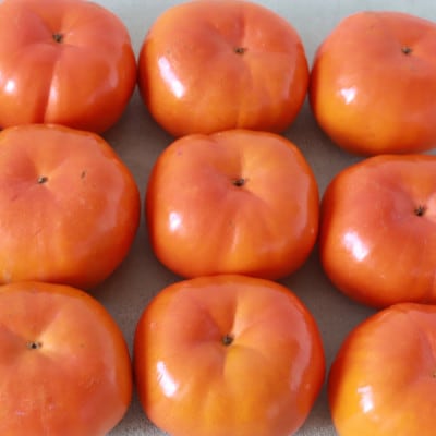 【さとふる限定】訳あり 早秋柿 4kg(約18個～25個入り) くどみフルーツ農園