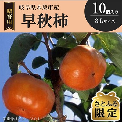 【さとふる限定】早秋柿 3Lサイズ 10個入り くどみフルーツ農園