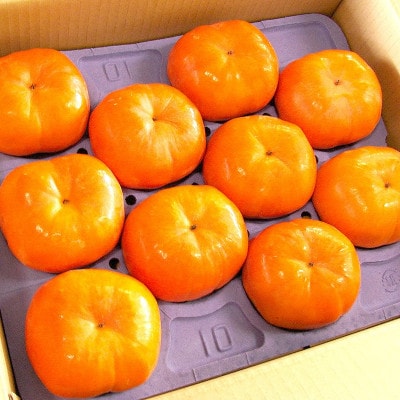 【さとふる限定】早秋柿 3Lサイズ 10個入り くどみフルーツ農園