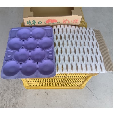 【さとふる限定】早秋柿 3Lサイズ 10個入り くどみフルーツ農園