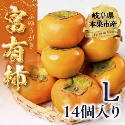 富有柿 Lサイズ 14個入り くどみフルーツ農園