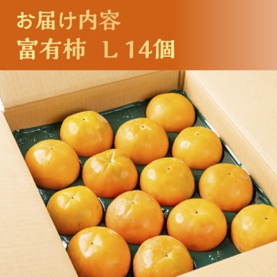 富有柿 Lサイズ 14個入り くどみフルーツ農園