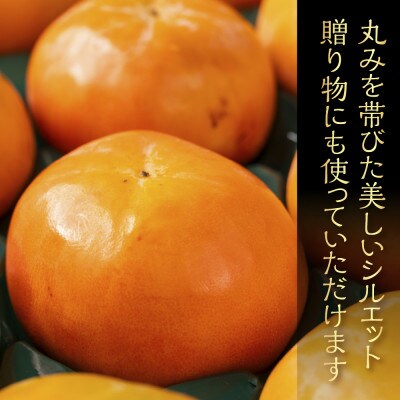 富有柿 2Lサイズ 12個入り くどみフルーツ農園