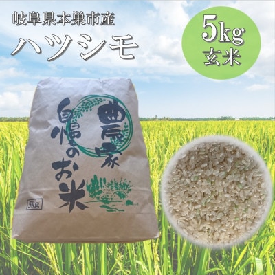 【新米先行受付】令和8年産 ハツシモ 5kg 玄米