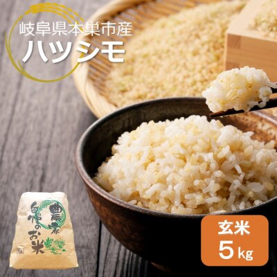 【新米先行受付】令和8年産 ハツシモ 5kg 玄米