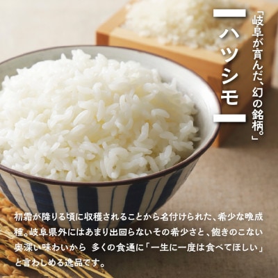 【新米先行受付】令和8年産 ハツシモ 5kg 玄米