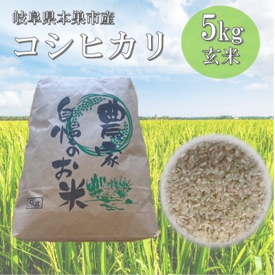 【新米先行受付】令和8年産 コシヒカリ 5kg 玄米