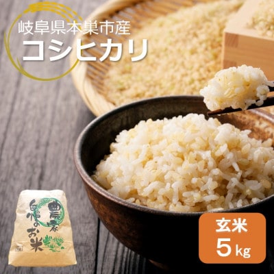 【新米先行受付】令和8年産 コシヒカリ 5kg 玄米