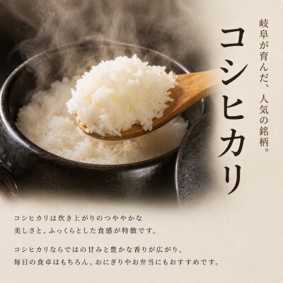 【新米先行受付】令和8年産 コシヒカリ 5kg 玄米