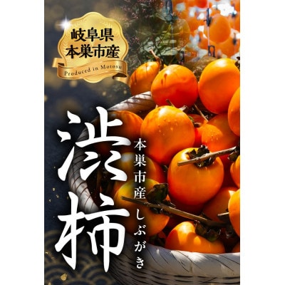 【訳あり】渋柿 10kg くどみフルーツ農園