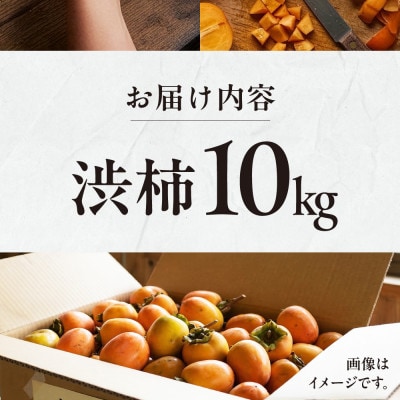 【訳あり】渋柿 10kg くどみフルーツ農園