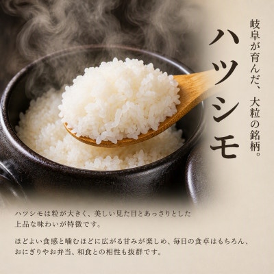 【さとふる限定】新米先行受付 令和8年産 お米3種 食べ比べ 計9kg(各3kg) 精米