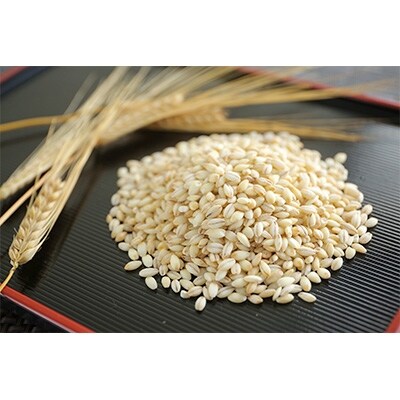 広島県安芸高田産 特選もち麦(キラリモチ) 1kg×5袋 300g×1袋 セット【合計5.3kg】