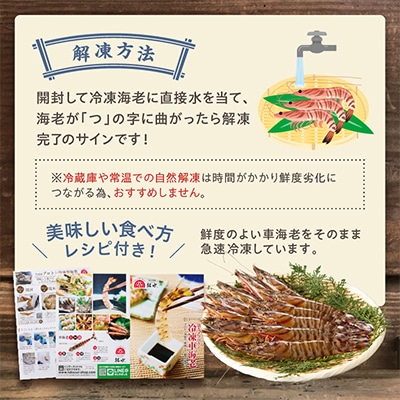 伊万里産　お刺身用冷凍ジャンボ車海老