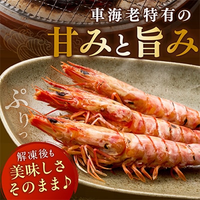 伊万里産 車海老の塩焼き8匹セット(1パック2尾×4パック)