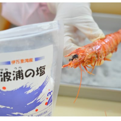 伊万里産 車海老の塩焼き8匹セット(1パック2尾×4パック)
