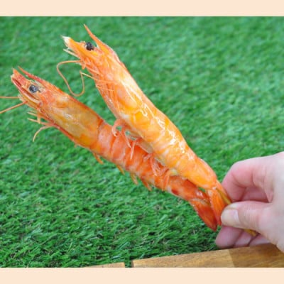 国産海老の塩焼き 2種食べくらべセット(車海老・バナメイ)